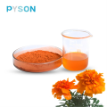 Marigold -Extrakt Luteinpulver 75% HPLC